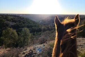 Cowgirls & Cowboys In The West