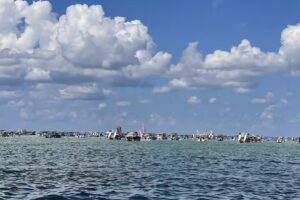 Crab Island Runner and Destin Dolphin Tours