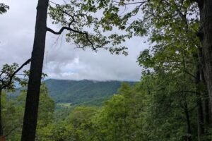 Cranberry Mountain Nature Center