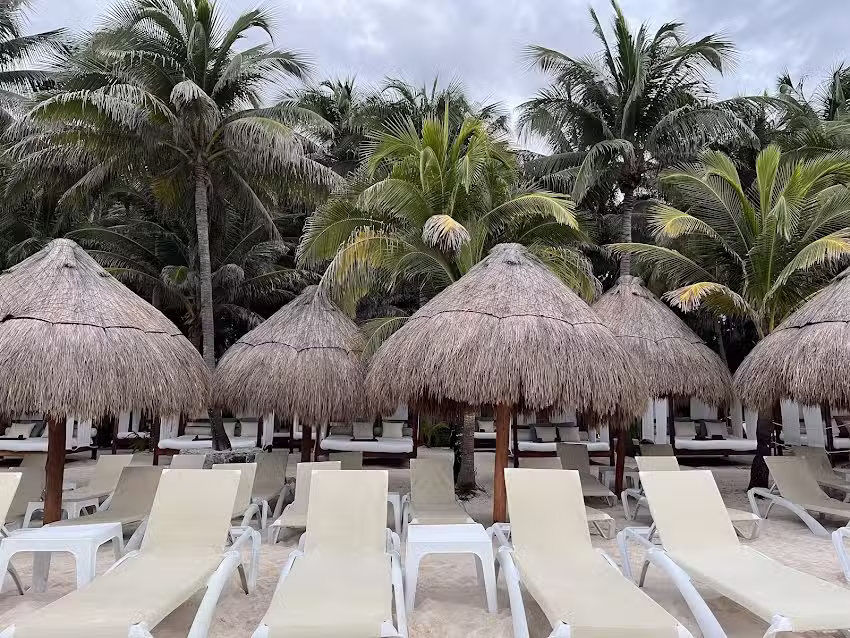 Create the Magic Travel