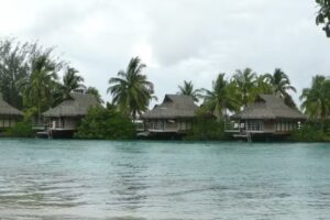 Creative Cruises & Tours