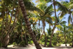 Creative Travel, Inc.