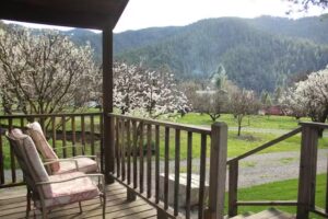 Creek Cabin of Hawkins Bar – Right on Hawkins Creek