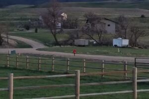 Creek View Vacation Rental