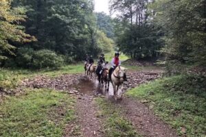 Crossroads Farms LLC