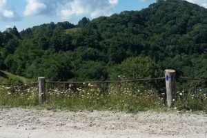 CRT Cataloochee Ranch