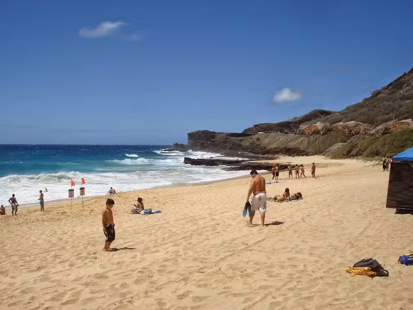 Cruise International Travel & Tours