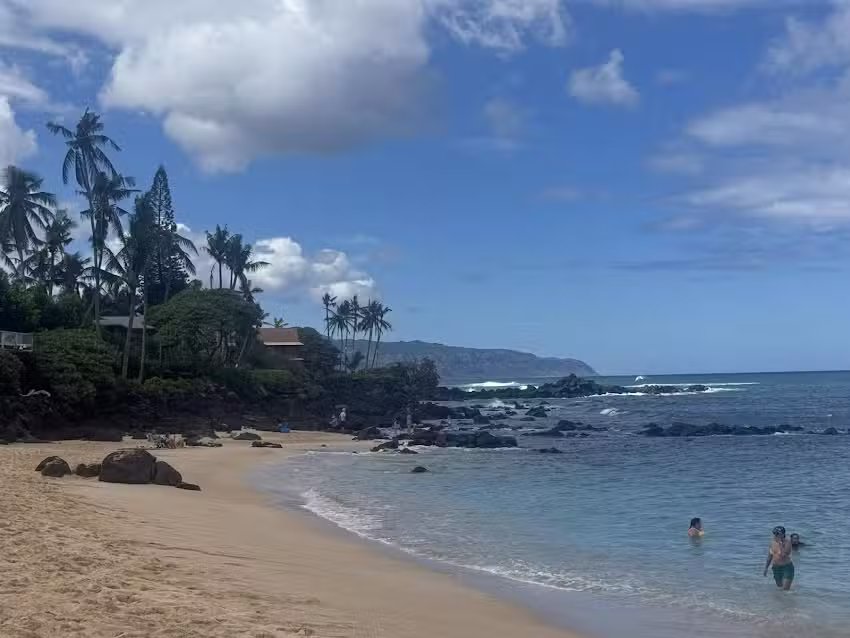 Cruise Planners &ndash; Alchemy Cruise and Travel LLC