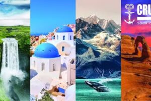 Cruise Planners – Amanda Maynard