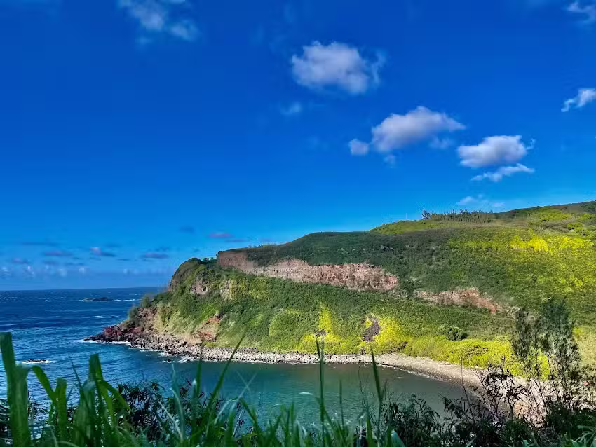 Cruise Planners – Amber – SEK Vacation Specialist