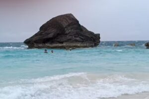 Cruise Planners – Amy Perron