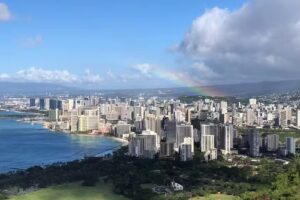 Cruise Planners – Amy Thomas