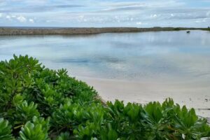 Cruise Planners – Andara Cruise and Travel