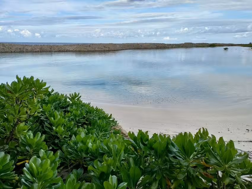 Cruise Planners – Andara Cruise and Travel