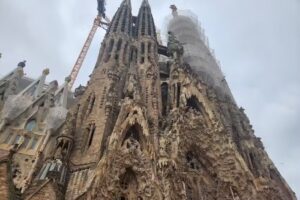 Cruise Planners – Book Another Cruise!