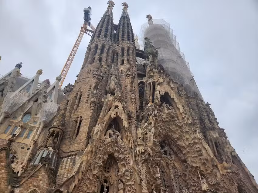 Cruise Planners &ndash; Book Another Cruise!