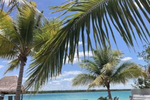 Cruise Planners – Clare