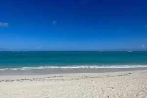 Cruise Planners – Cruise Tours & Land Travel – Rick & Lori Kates