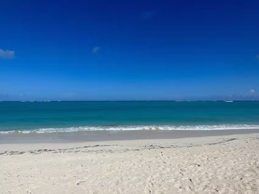 Cruise Planners – Cruise Tours & Land Travel – Rick & Lori Kates