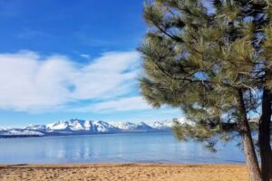 Cruise Planners – Curated Travel Getaways