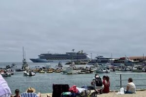 Cruise Planners -Dawn Lingold