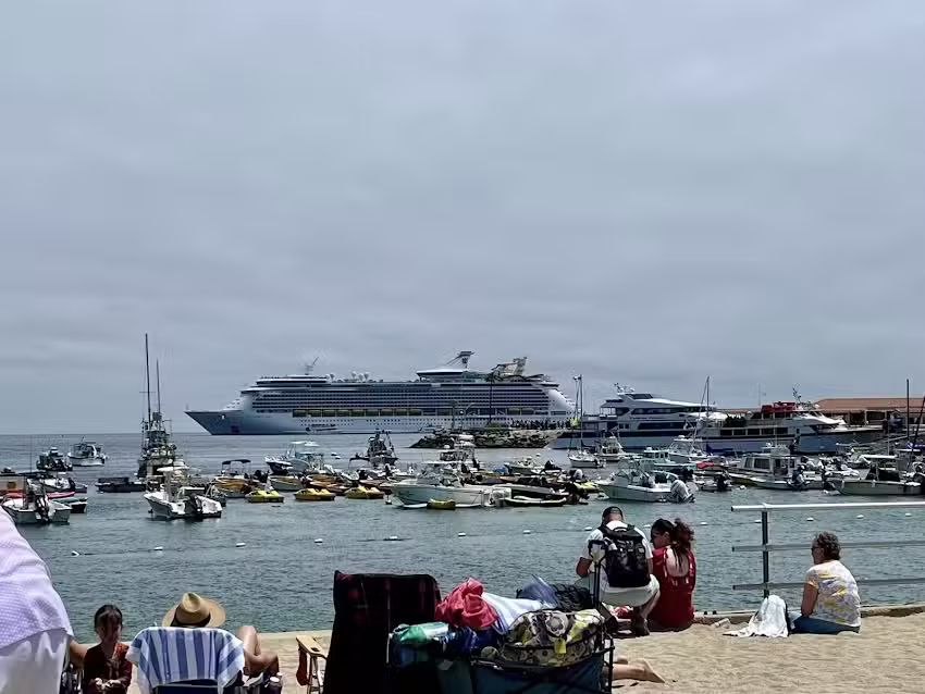 Cruise Planners -Dawn Lingold