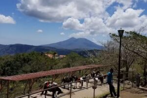 Cruise Planners – Debra Sledge