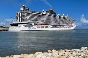 Cruise Planners – Delani Lemons