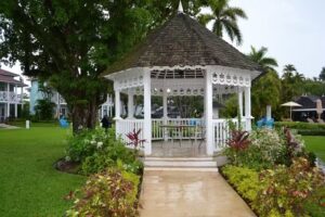 Cruise Planners/Effortless 2 Travel – Jeanine Hnatovic