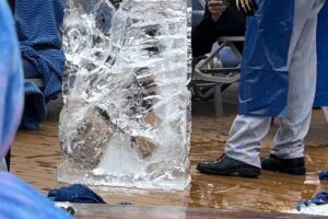 Cruise Planners – Ella Cleveland