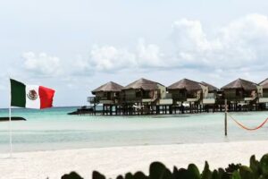 Cruise Planners- Figueroa Vacations