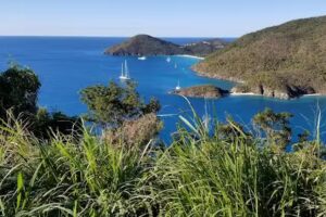 Cruise Planners – Jeff Page