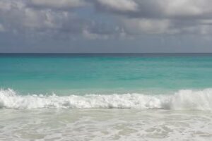 Cruise Planners Jen Dotzauer