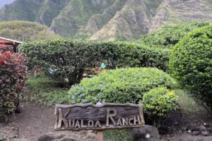 Cruise Planners – Jennifer Armstrong