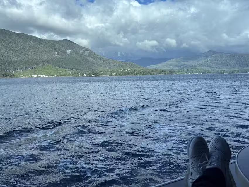 Cruise Planners &ndash; Jennifer Armstrong