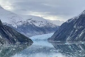 Cruise Planners – Jeri O’Brien