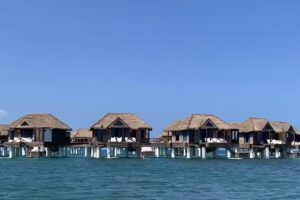 Cruise Planners – Lisa Adams