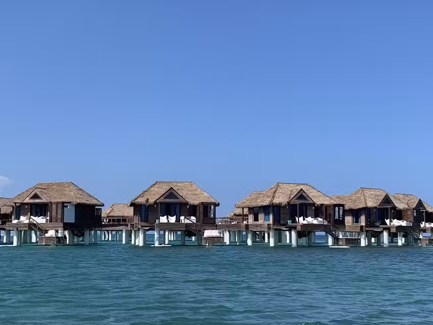 Cruise Planners – Lisa Adams