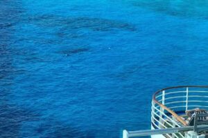 Cruise Planners- Mary Gousev