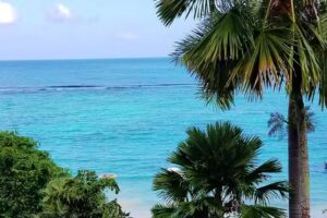 Cruise Planners-Outandaboutluxurytravel.com