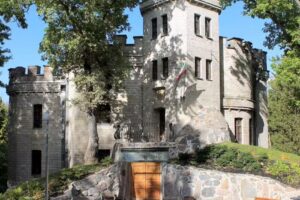 Cruise Planners : Pete & Ann Tellini