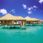 Cruise Planners – Qualified American Express Travel Insider