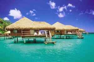 Cruise Planners – Qualified American Express Travel Insider