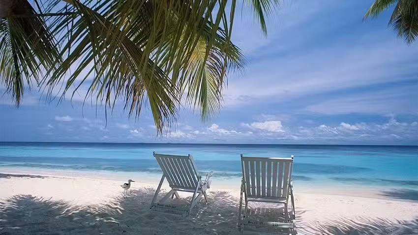 Cruise Planners – Qualified American Express Travel Insider