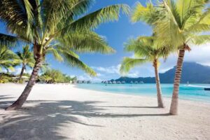 Cruise Planners Roxana Burns