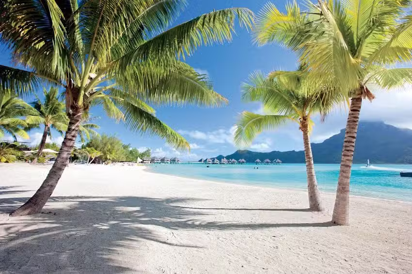 Cruise Planners Roxana Burns