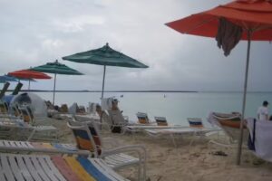 Cruise Planners – Shawna Yost