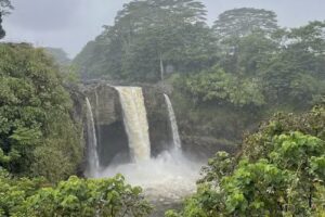 Cruise Planners-Sherrill