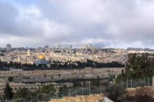 Cruise Planners – Sidewalks and Pathways