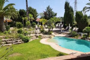 Cruise Planners & Someday is Now Travel